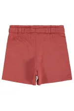 Boy Shorts 2-5 Years Old Tile - Package