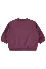 Baby Sweatshirt 0-24 Months Dark Dusty Rose - Pack