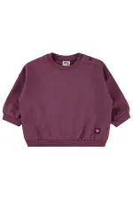 Baby Sweatshirt 0-24 Months Dark Dusty Rose - Pack