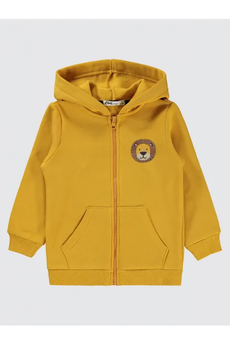 Erkek Çocuk Hırka 2-5 Yaş Hardal - Paket Erkek Çocuk Hırka 2-5 Yaş Hardal - Paket