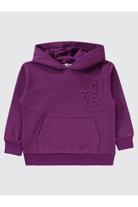 Kız Çocuk Sweatshirt 2-5 Yaş Mor - Paket