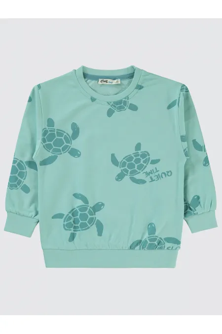 Erkek Çocuk Sweatshirt 2-5 Yaş Turkuaz - Paket Erkek Çocuk Sweatshirt 2-5 Yaş Turkuaz - Paket