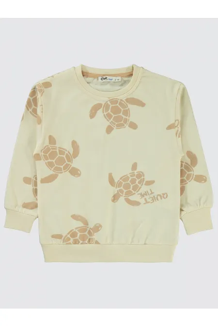 Erkek Çocuk Sweatshirt 2-5 Yaş FilDişi - Paket Erkek Çocuk Sweatshirt 2-5 Yaş FilDişi - Paket