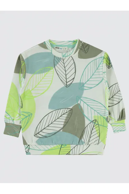 Boys Sweatshirt 2-5 Years Old Light Almond Green - Package