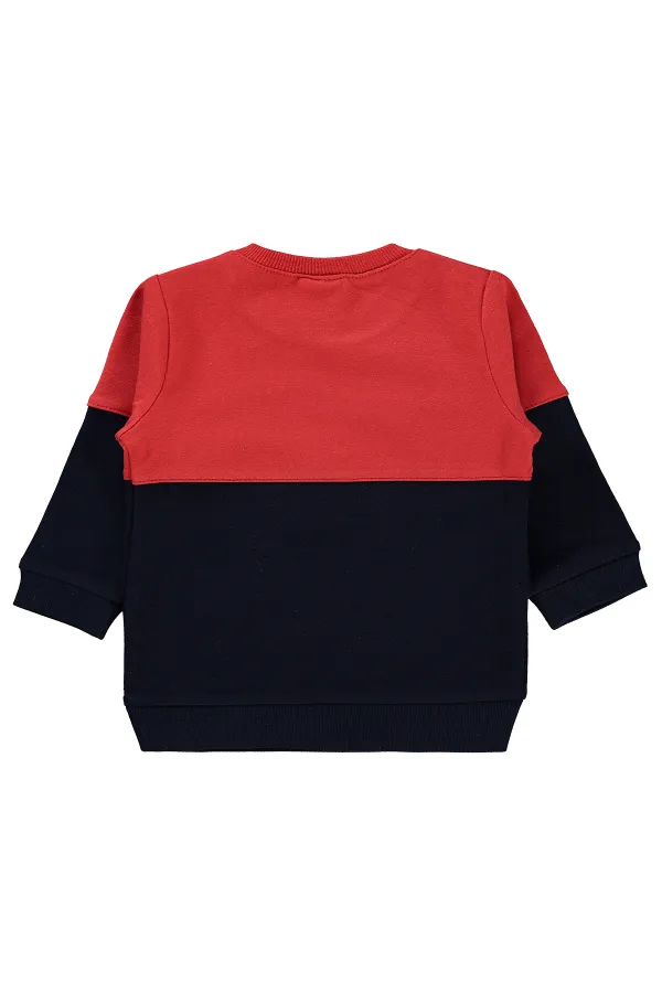 Baby Sweatshirt 0-24 Months Navy Blue - Pack
