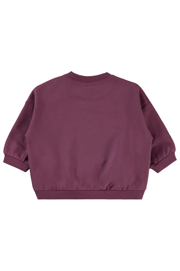 Baby Sweatshirt 0-24 Months Dark Dusty Rose - Pack
