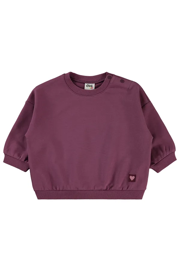 Baby Sweatshirt 0-24 Months Dark Dusty Rose - Pack
