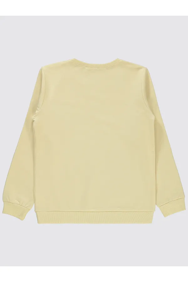 Girl's Sweatshirt 10-13 Years Old Blonde Tree - Package Girl's Sweatshirt 10-13 Years Old Blonde Tree - Package