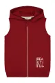 Koyu Bordo
